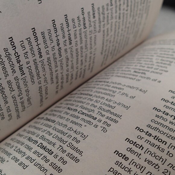 Student Dictionary - Picture 2 of 4